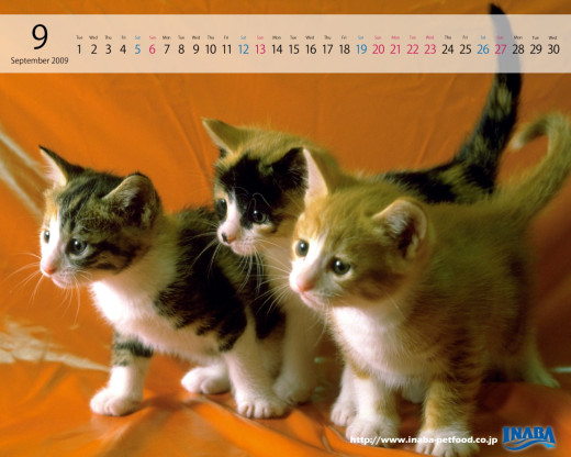 313059 (a): :1280x1024